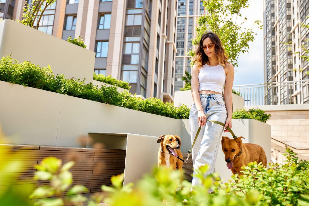 Como saber se um condomínio é realmente pet friendly?